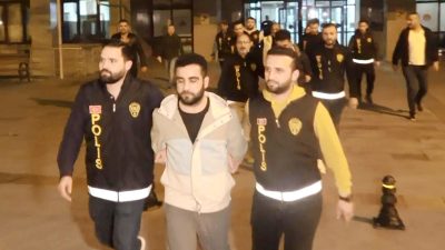 Manavgat ilçesinde, 4 yıl önce başı gövdesinden ayrı, 12 dişi