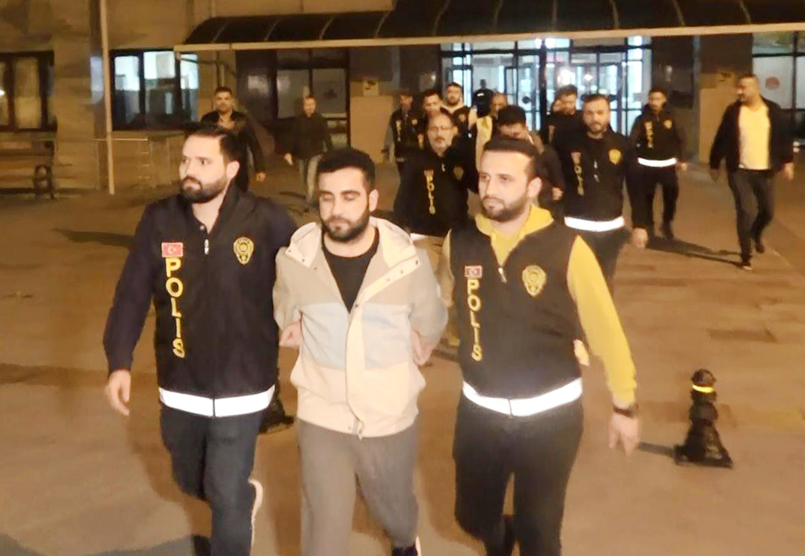 Manavgat ilçesinde, 4 yıl önce başı gövdesinden ayrı, 12 dişi