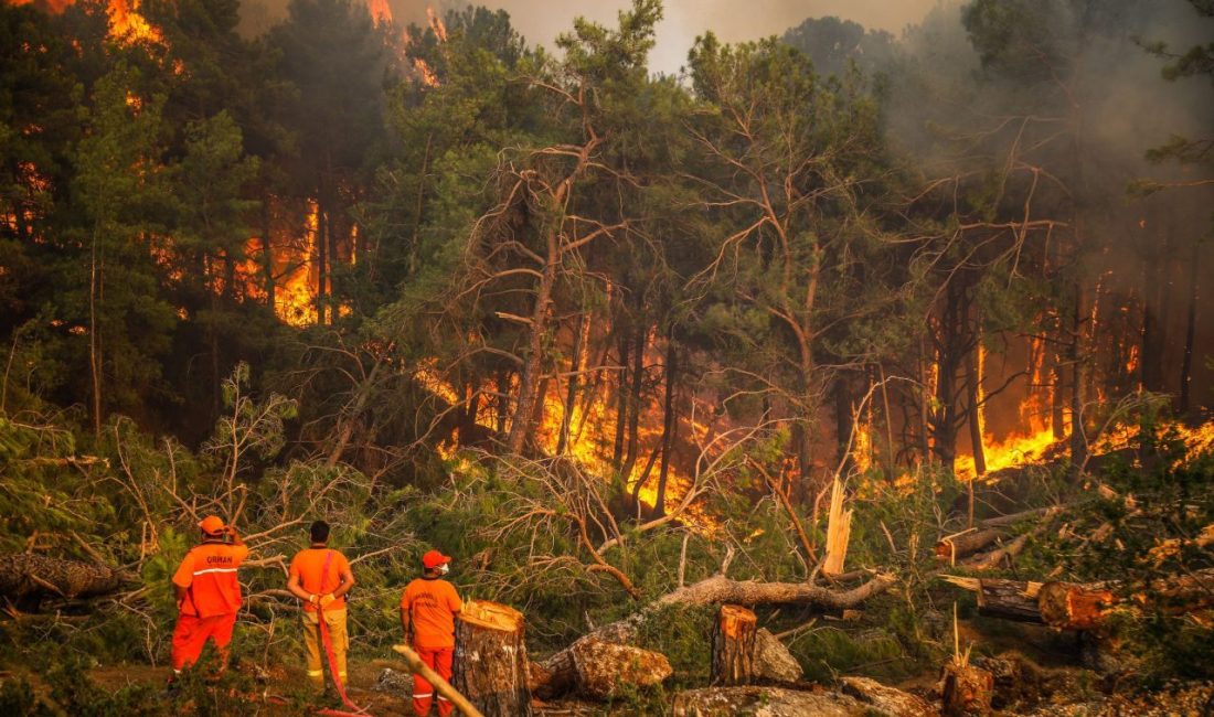 Antalya’da dikkatsizlik, kasıt ve kazadan 1956 orman yangını çıktı TÜRKİYE’de geçen yıl çıkan 3 bin 797 orman yangınından 1956’sının,