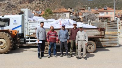 ANTALYA Büyükşehir Belediyesi, artan üretim girdi maliyetlerine yetişemeyen büyükbaş hayvan