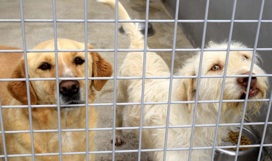 TÜRKİYE'de 2004-2024 yılları arasında 2 milyon 774 bin 908 sokak